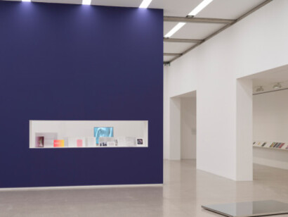 Martin Beck, Exhibition view. Courtesy of Mumok 