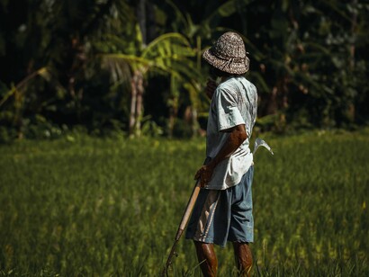 A Balinese farmer works in a lush rice field, reflecting the island's long-standing tradition of sustainable agriculture