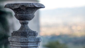 An extraordinary peacefulness overtook me