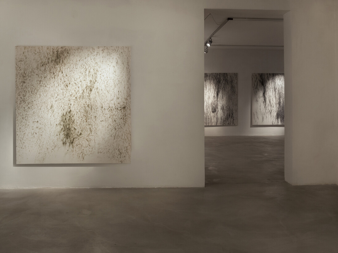 Federico Gori, 2012, erba e terra su tela, 175 x 175 cm, veduta dell’installazione, Palazzo Fabroni, Arti Visive Contemporanee, Pistoia 2015. photo credits: Bärbel Reinhard