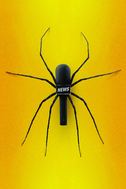 Coco Cerrella, Araña (Spider), 2019. Cortesia di Zètema Progetto Cultura 