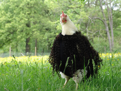 Edgar Honetschläger and Willi Mahringer, Chicken Erni in chickenssuit, 2005. Mit freundlicher genehmigung des Nordico Stadtmuseum