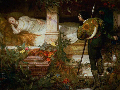 Bella addormentata nel bosco. Il castello in cui dorme la Bella è circondato da un bosco fittissimo di spine che impediscono l’accesso a tutti i principi tranne uno