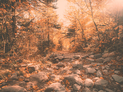 Estuvo muchos días andando, absorto en sus pensamientos