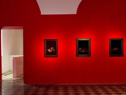 Installation view, Mat Collishaw, 1/9unosunove, Photo: Valerio Iacobini, Courtesy 1/9unosunove”