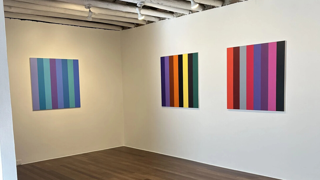 Fernando Uhía, Bipolares o Jurassic lines, vista de exhibición. Cortesía de Galería Nueveochenta