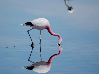 Salar de Atacama