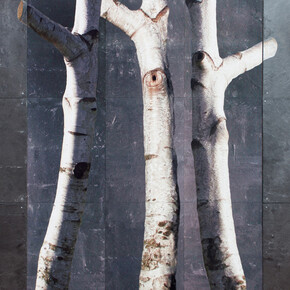 Roderick Coyne, Portrait, natural slate, paint and photographic print, 152 x 158 cm, 2015 