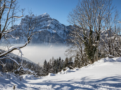 Winterlight, ph. by M. Stillwater