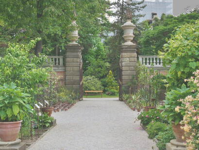 Orto Botanico, Padova un luogo magico ed unico al mondo, in cui lo sguardo di Castella ha catturato quaranta immagini che non vogliono essere un itinerario della città e tanto meno un’indagine sociale e territoriale