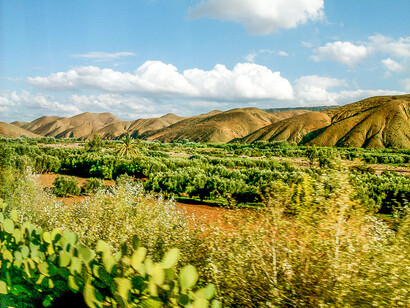 Fruitful valley in Morocco