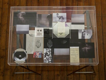 Maria Elisabetta Novello. Sursum Corda, Exhibition view. Courtesy of Galleria Fumagalli