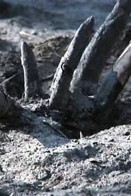 Le mani degli Dei