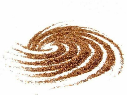 Polvere di Rooibos