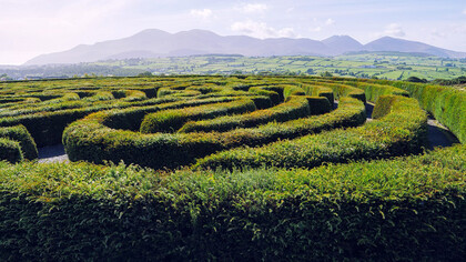 Castlewellan Peace Maze, County Down, Irlanda del Norte
