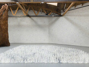 Cao / Humanity. Courtesy of UTA Artist Space