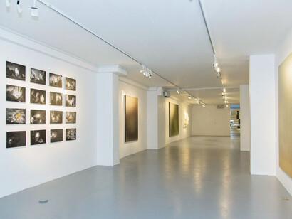 Form: Flow, Exhibition view. Courtesy of Amar Gallery