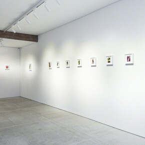 Pareidolia. Courtesy of Totah 