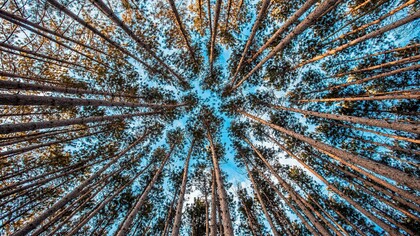 Si considerano inganni e illusioni come le più solide delle verità