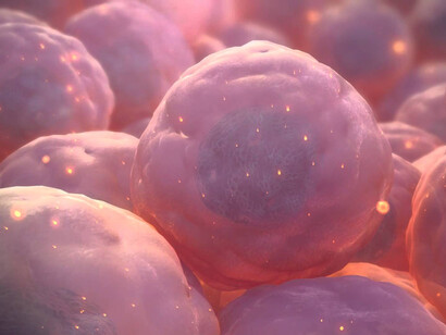 Cells, detail