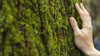 Naturaleza y libertad: dos caras de la misma moneda