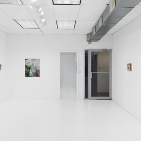 Sharon Xinran Zhang, Enabler and vanilla conjuring (纵容者和寻常戏法), exhibition view. Courtesy of Lubov
