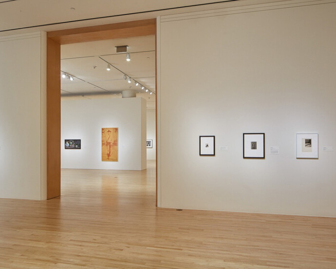 This is not a Selfie. Courtesy of San Jose Museum of Art