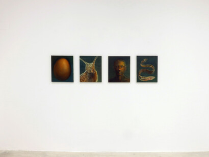 Aura Roig, The worms are starting to move [Los gusanos están empezando a moverse], vista de exhibición. Corteía de Prats Nogueras Blanchard
