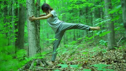 Shinrin-yoku, la teoria giapponese del bagno nella foresta 
