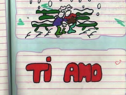 Ivana Ceccoli - I Diari delle Medie