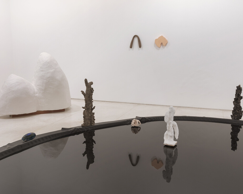 Tiago Mestre, Exhibition view. Courtesy of Galeria Millan