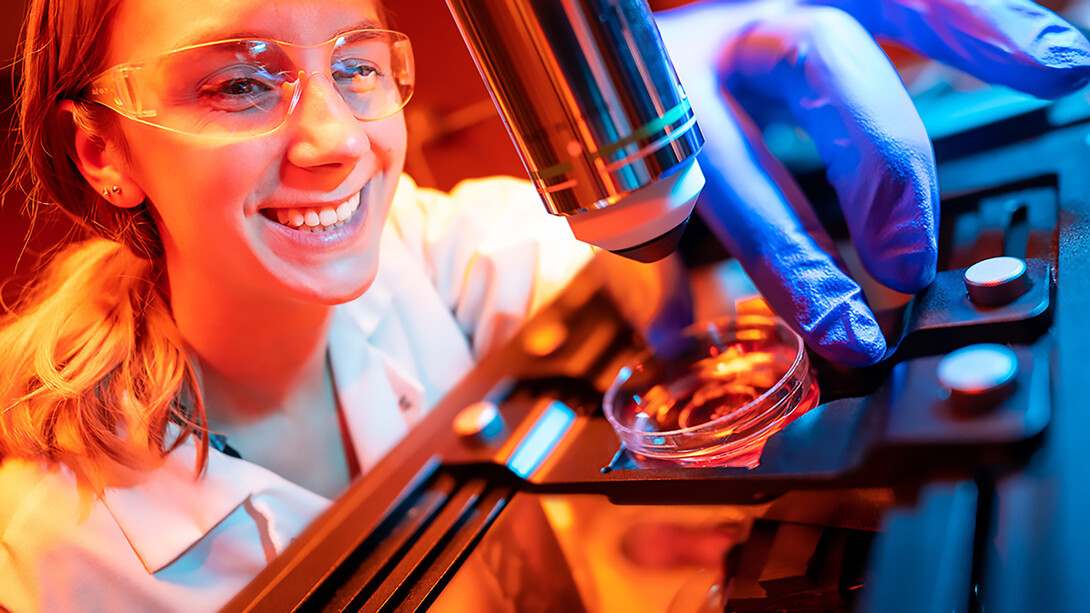 At the frontier of brain science: A researcher examines neural organoids under the microscope, unlocking mysteries of consciousness in the lab