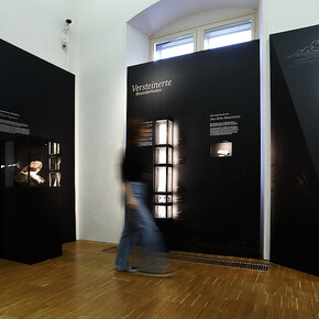 Fascinating treasures, exhibition view. Courtesy of the Natural History Museum