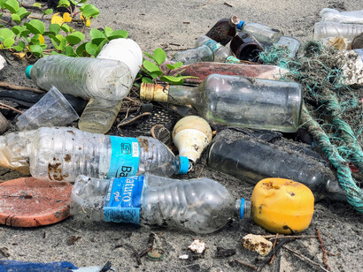 The Earth Pledge: I will not buy or use single-use plastic