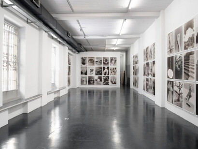 Eggs and rarities. Courtesy of Otto Zoo