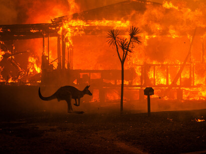 Incendios forestales en Australia, 2020