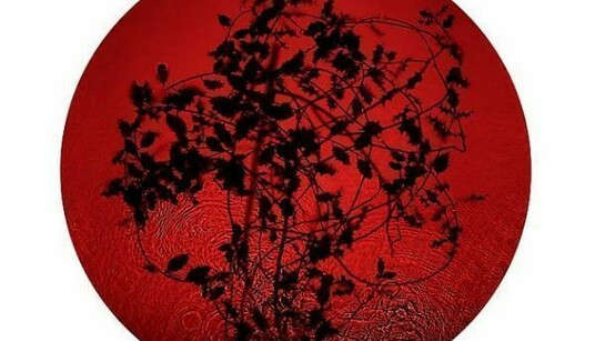 Susan Derges, Holly, 2013, 24" x 24"