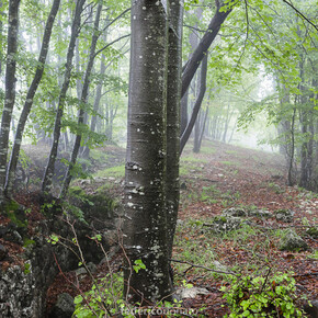 Federico Donato, Cento #5, 2014, fotografia digitale su carta cotone, 42 x 59,4 cm