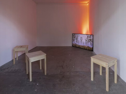 Priyageetha Dia, salt, exhibition view. Courtesy of Gertrude Contemporary