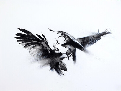 Li-Hill, Fight, (Hooded Vulture – Necrosyrtes monachus), Graphite and aerosol on paper, 30in x 22in (76 x 56cm)