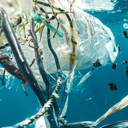  Le microplastiche, piccole ma pericolose, stanno soffocando i nostri oceani