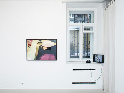 Wild Flowers. Courtesy of Galerie Iragui