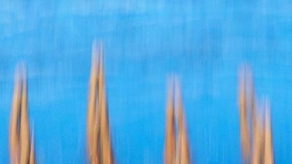 Stefano Nicolini. Piscine