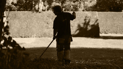 Hombre realiza trabajos de jardinería