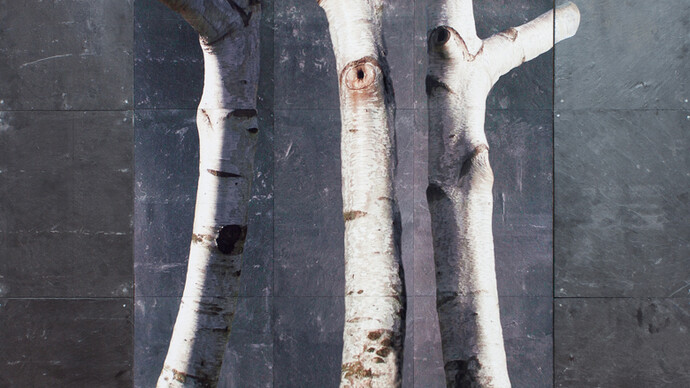 Roderick Coyne, Portrait, natural slate, paint and photographic print, 152 x 158 cm, 2015