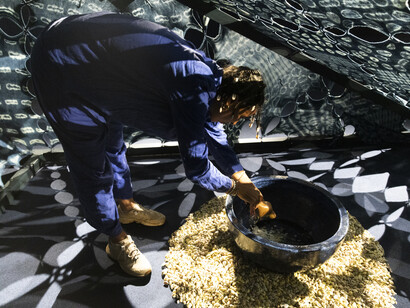 Tabita Rezaire, Calabash nebula, exhibition view. Courtesy of Museo Nacional Thyssen-Bornemisza