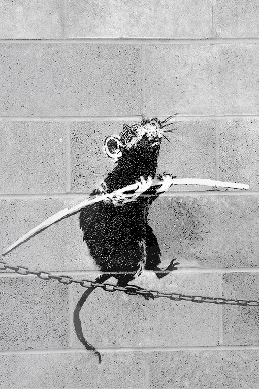 Banksy, Rat
