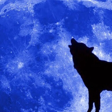 La llamada de la selva