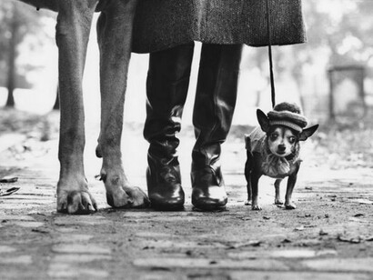 Elliott Erwitt, New York City, 1974 ©Elliott Erwitt/Courtesy of Edwynn Houk Gallery