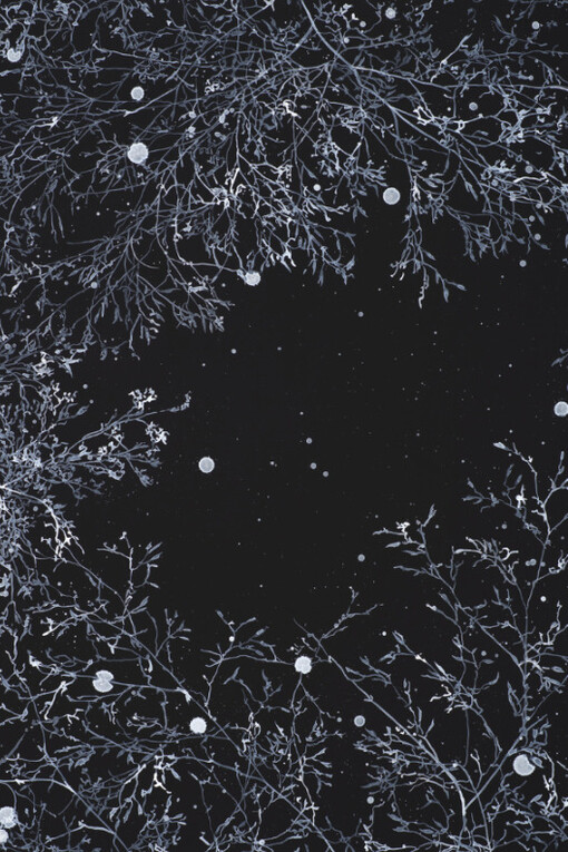 The Clearing. Courtesy of Bo.Lee Gallery
